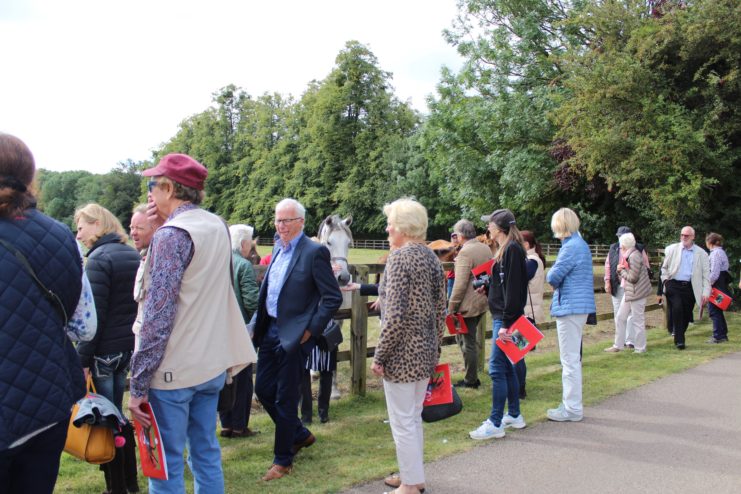 Members meet the mares and foal