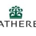 £3 off Weatherbys Jumpers to Follow 2023/24 by Paul Ferguson image