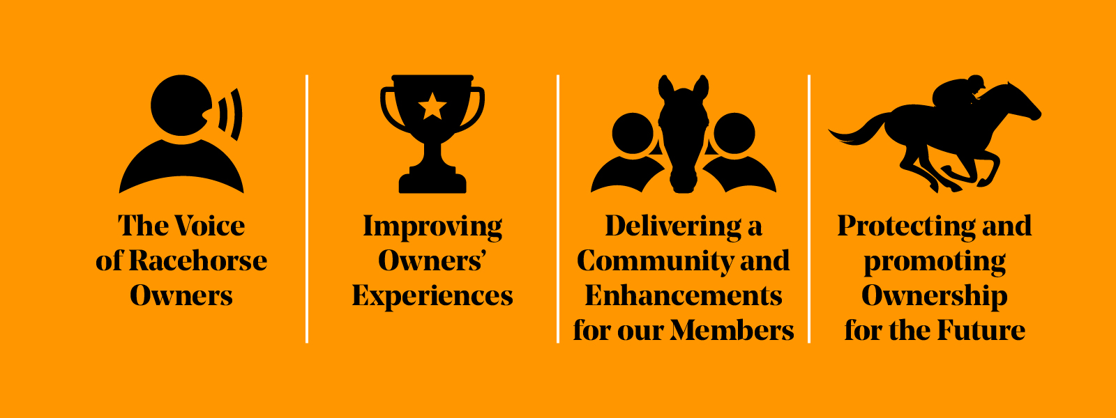 32063 ROA Messaging Infographic Website 1600x600.jpg