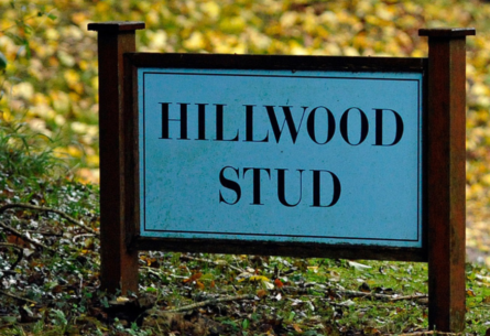 Hillwood Stud image