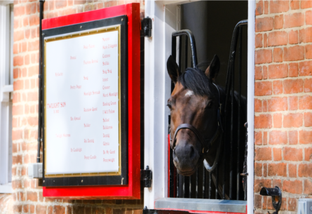 Cheveley Park Stud image