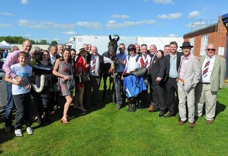 Owners Guide to Going Racing image