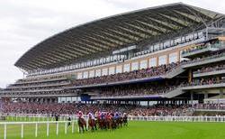 Ascot-St1.jpg