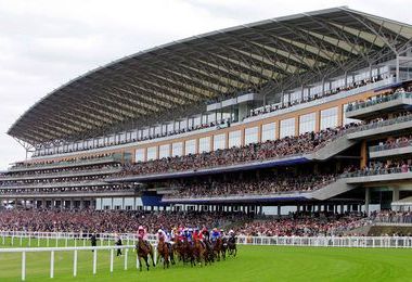 Ascot-St1.jpg