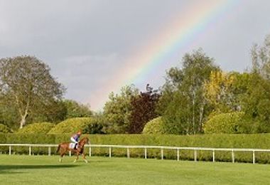 Windsor pic.jpg