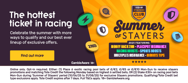 roa-summer-of-stayers-a.png