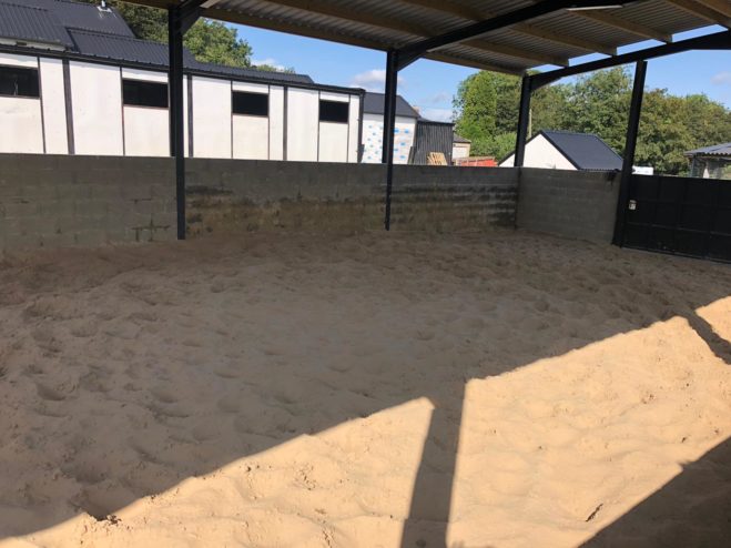 Sand lunging area