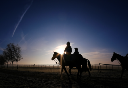 Newmarket Training Grounds image