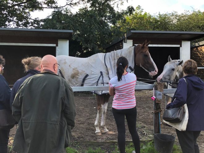 Top Notch Tonto meets his fans