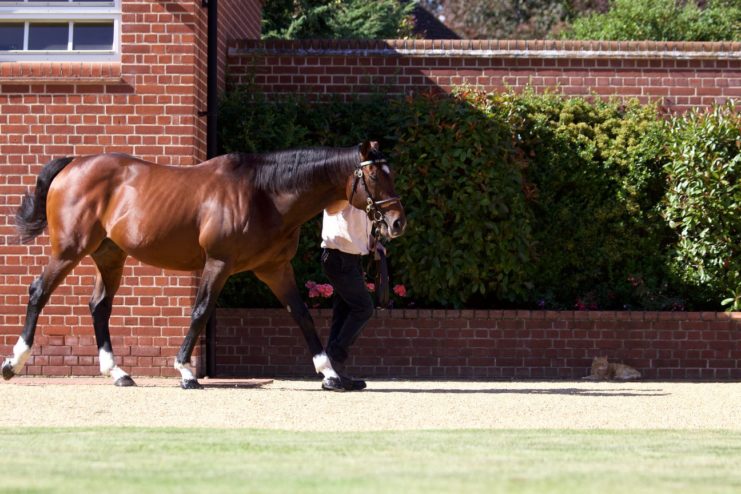 Frankel and George