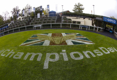 Ascot - champions branding.JPG