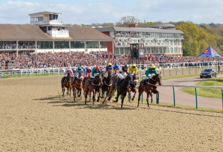 Lingfield Park image