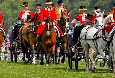 The Royal Procession-21.6.19-61.jpg