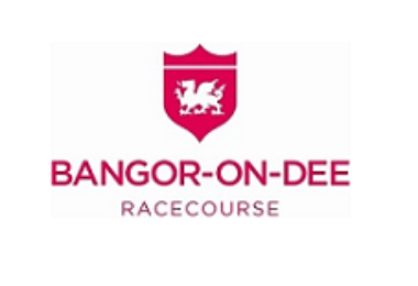 Bangor sized logo.png