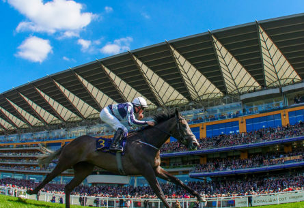 Ascot image