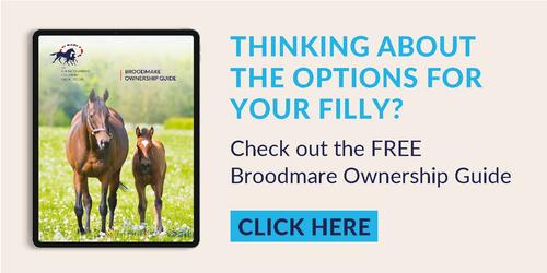 Broodmare-guide-700x350.jpg