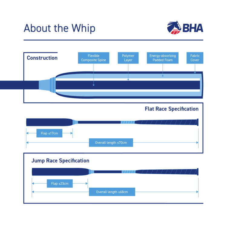 BHA_Whip_Infographics_About_06.jpg