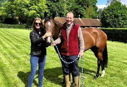 Brightwalton Bloodstock image