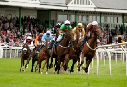 Catterick Bridge image