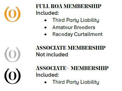 insurance levels.jpg