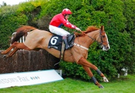 Sandown Park image