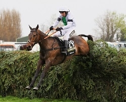 aintree_pic.jpg