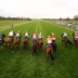 20% discounts on BHA Registrations image