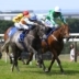 Racehorse Owners Compensation Scheme (ROCS) image